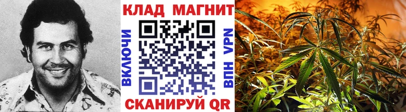 Купить закладку ГАШ  Cocaine  Мефедрон  СК  Марихуана  Гаврилов Посад