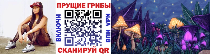 Псилоцибиновые грибы Psilocybe  Купить  Гаврилов Посад 